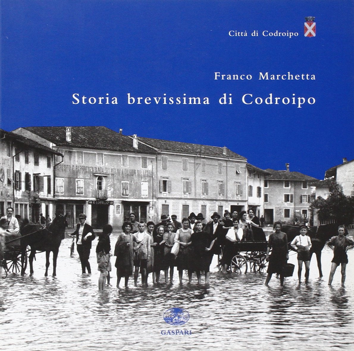 Storia brevissima di Codroipo (I paesi del Friuli e del Veneto) Leisure, Home & Garden