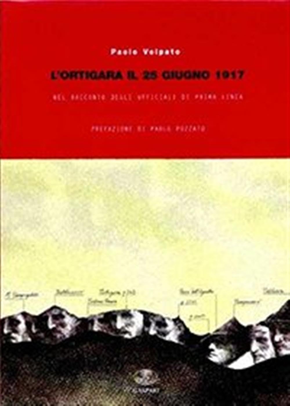 L'ortigara il 25 giugno 1917 nel racconto degli ufficiali di prima linea. Ediz. illustrata (Collana storica) Politics & History