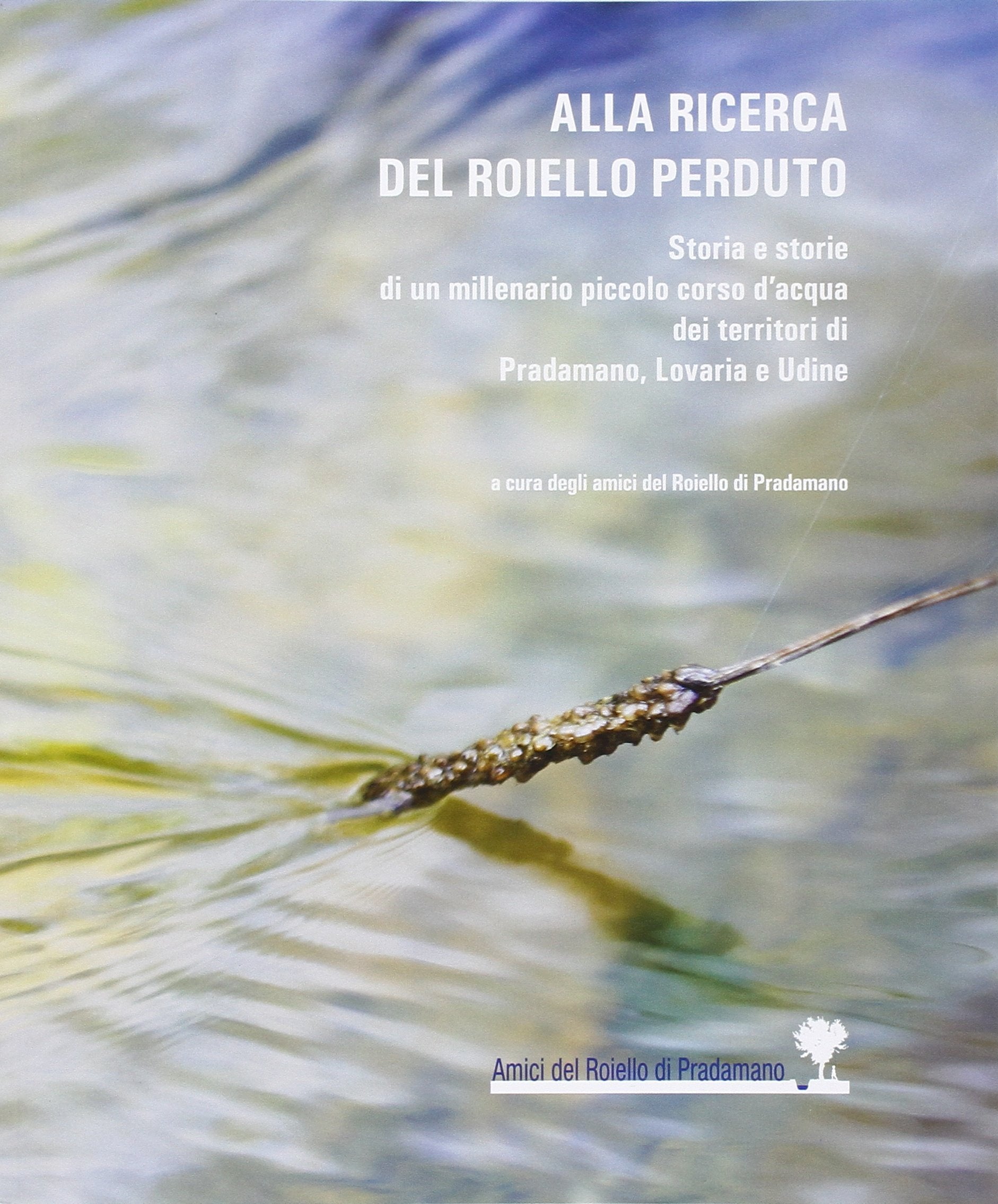 Alla ricerca del Roiello perduto. Storia e storie di un millenario piccolo corso d'acqua dei territori di Pradamano, Lovaria e Udine book