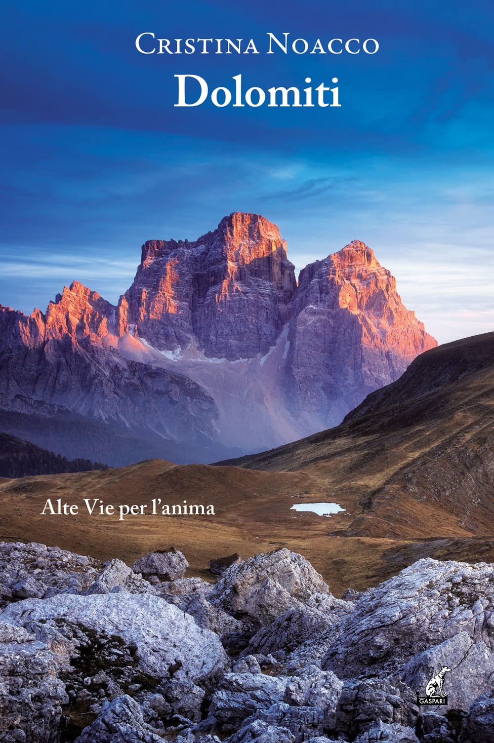 Dolomiti. Alte vie per l'anima book