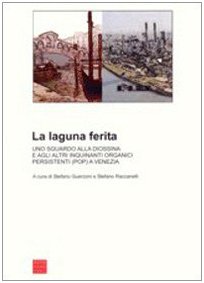 La laguna ferita. Uno sguardo alla diossina e agli altri inquinanti organici persistenti (POP) a Venezia Mathematics