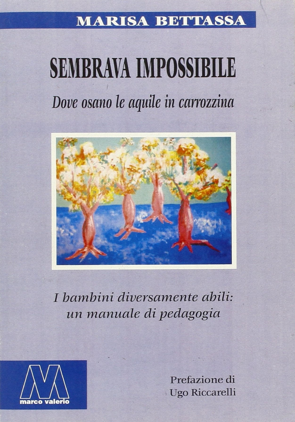 Sembrava impossibile. Dove osano le aquile in carrozzina. I bambini diversamente abili: un manuale di pedagogia Learning & Reference