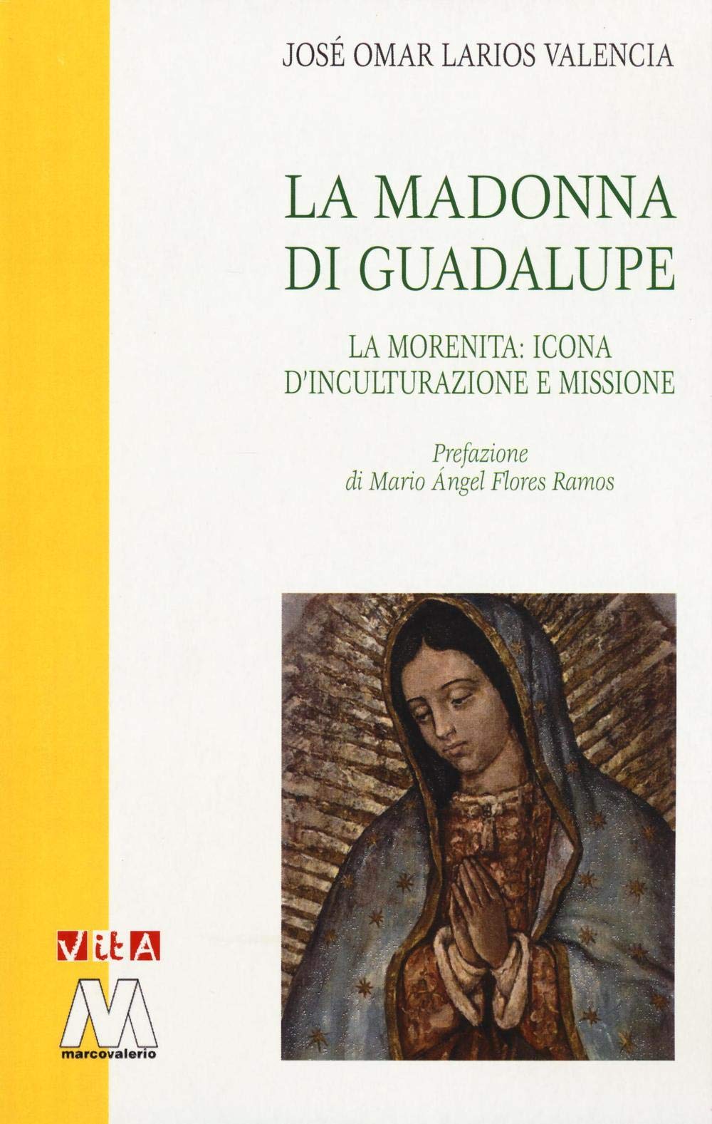 La Madonna di Guadalupe. La Morenita: icona d'inculturazione e missione book