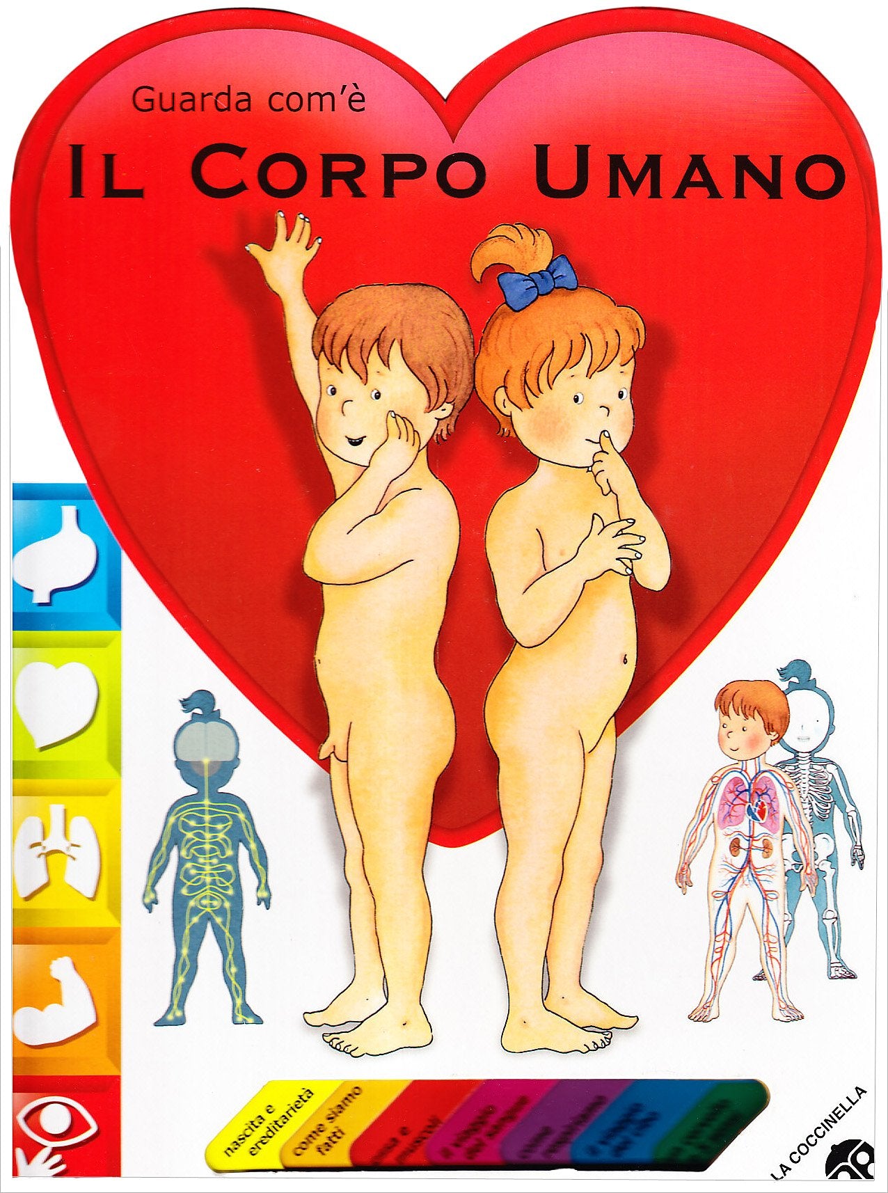 Il corpo umano. Ediz. illustrata book