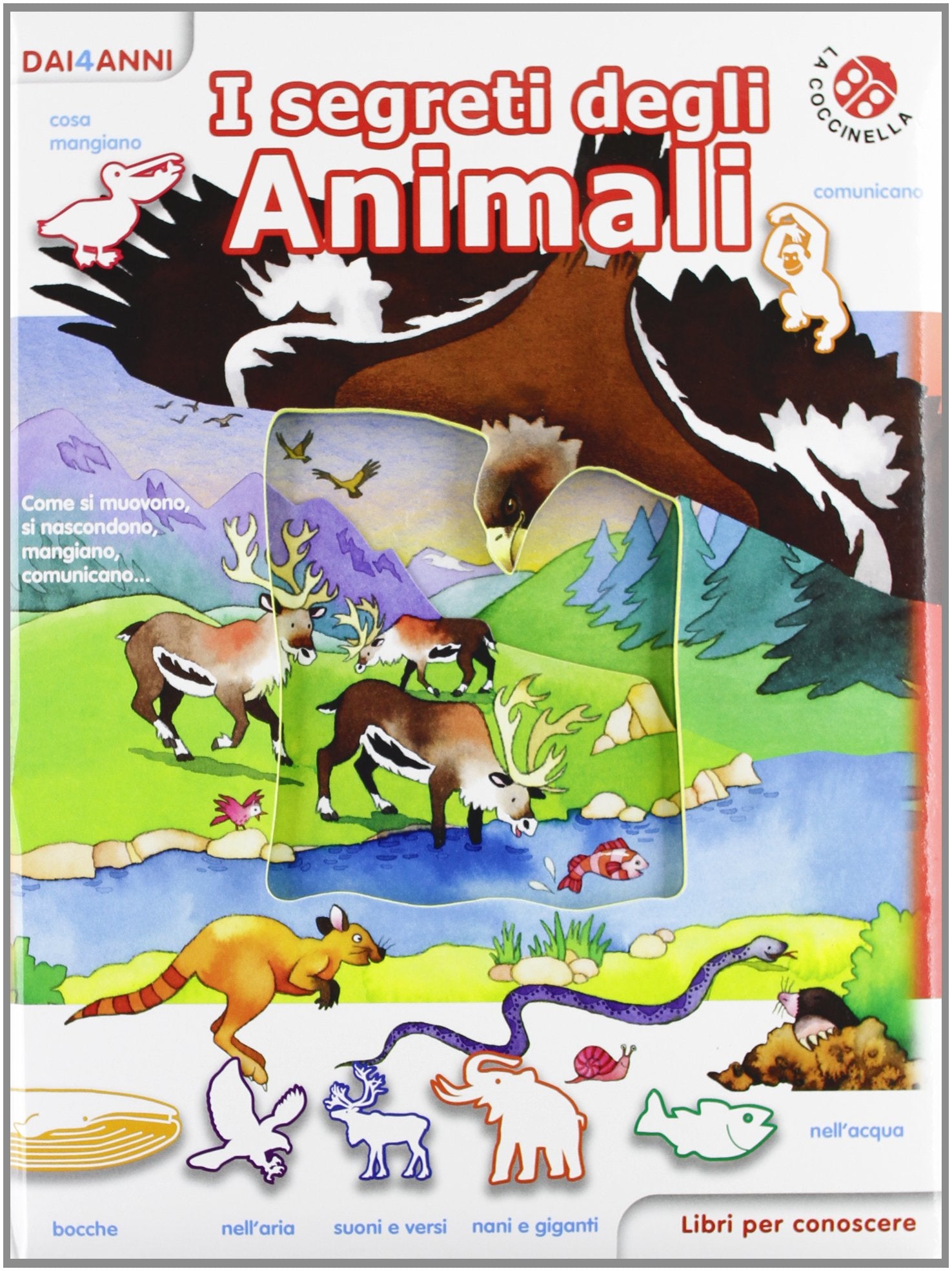 I segreti degli animali. Libri per conoscere. Ediz. illustrata Babies & Toddlers