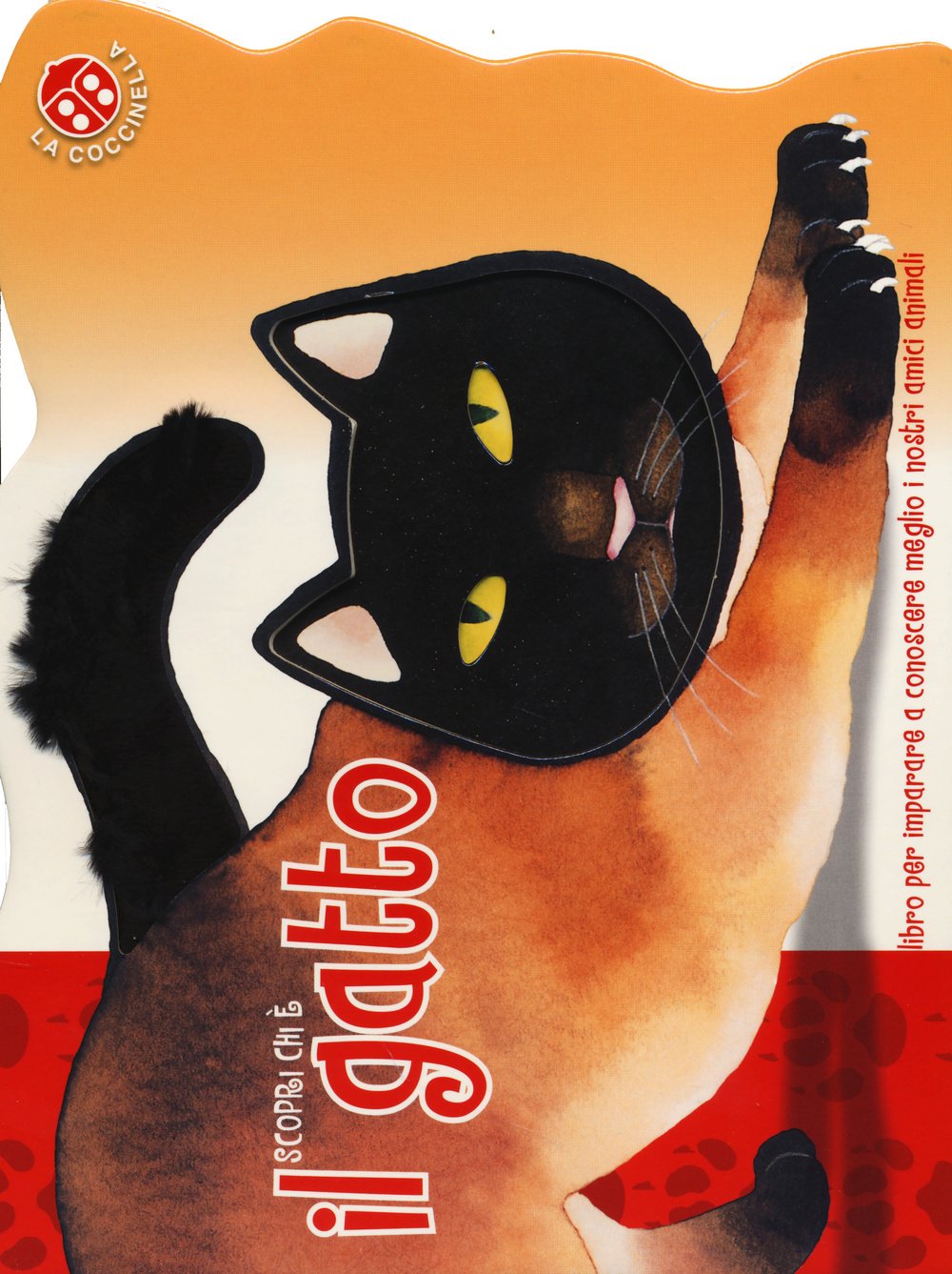 Scopri chi è il gatto. Ediz. illustrata book