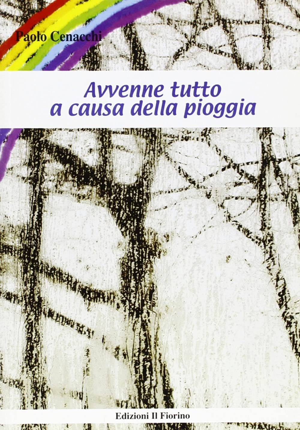 Avvenne tutto a causa della pioggia book