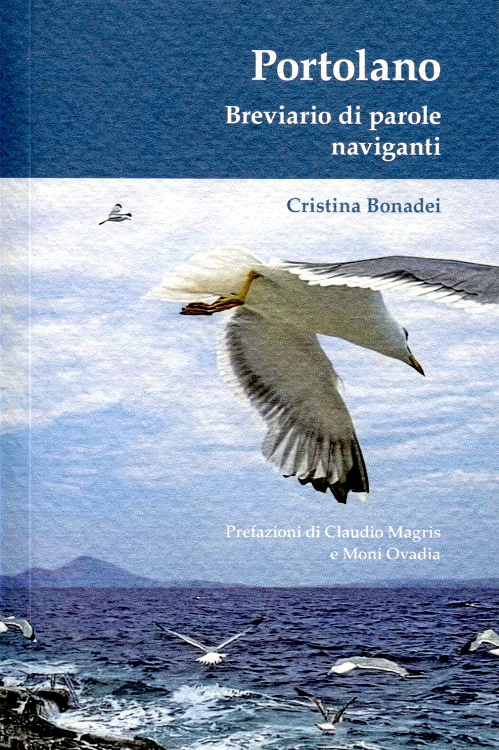Portolano. Breviario di parole naviganti Contemporary literature