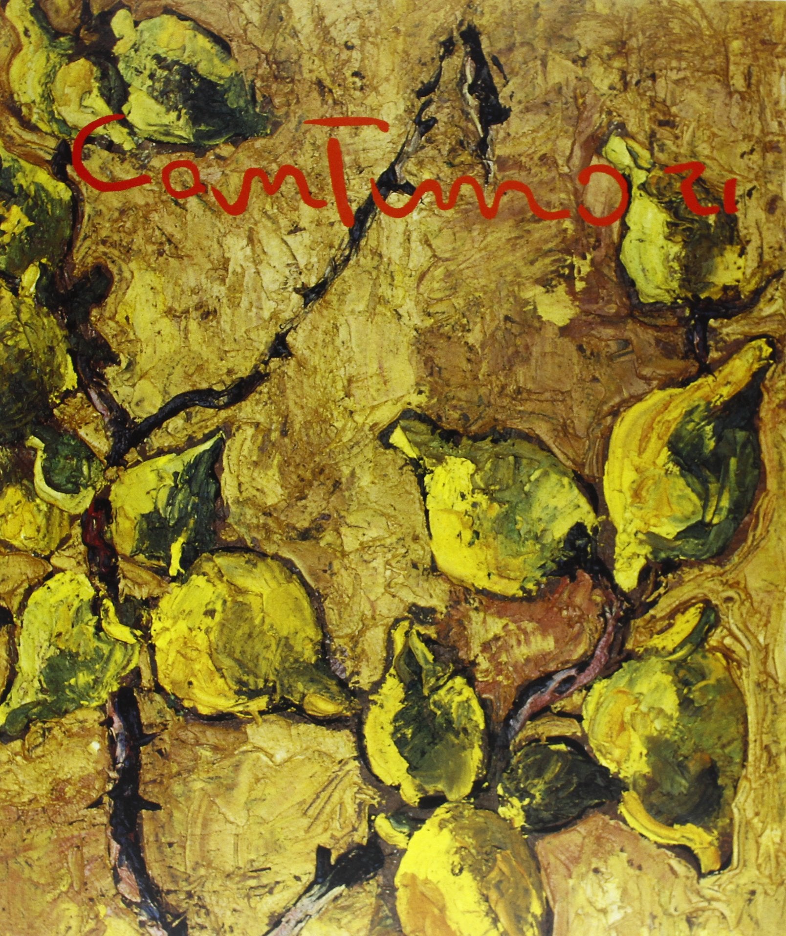 Cino Cantimori (1906-1993). Catalogo book