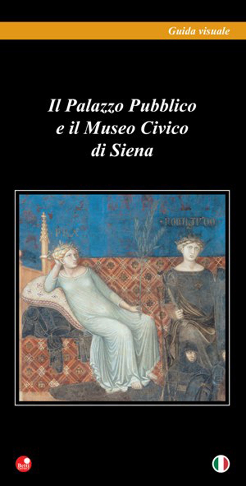 Il Palazzo pubblico e il Museo civico di Siena book