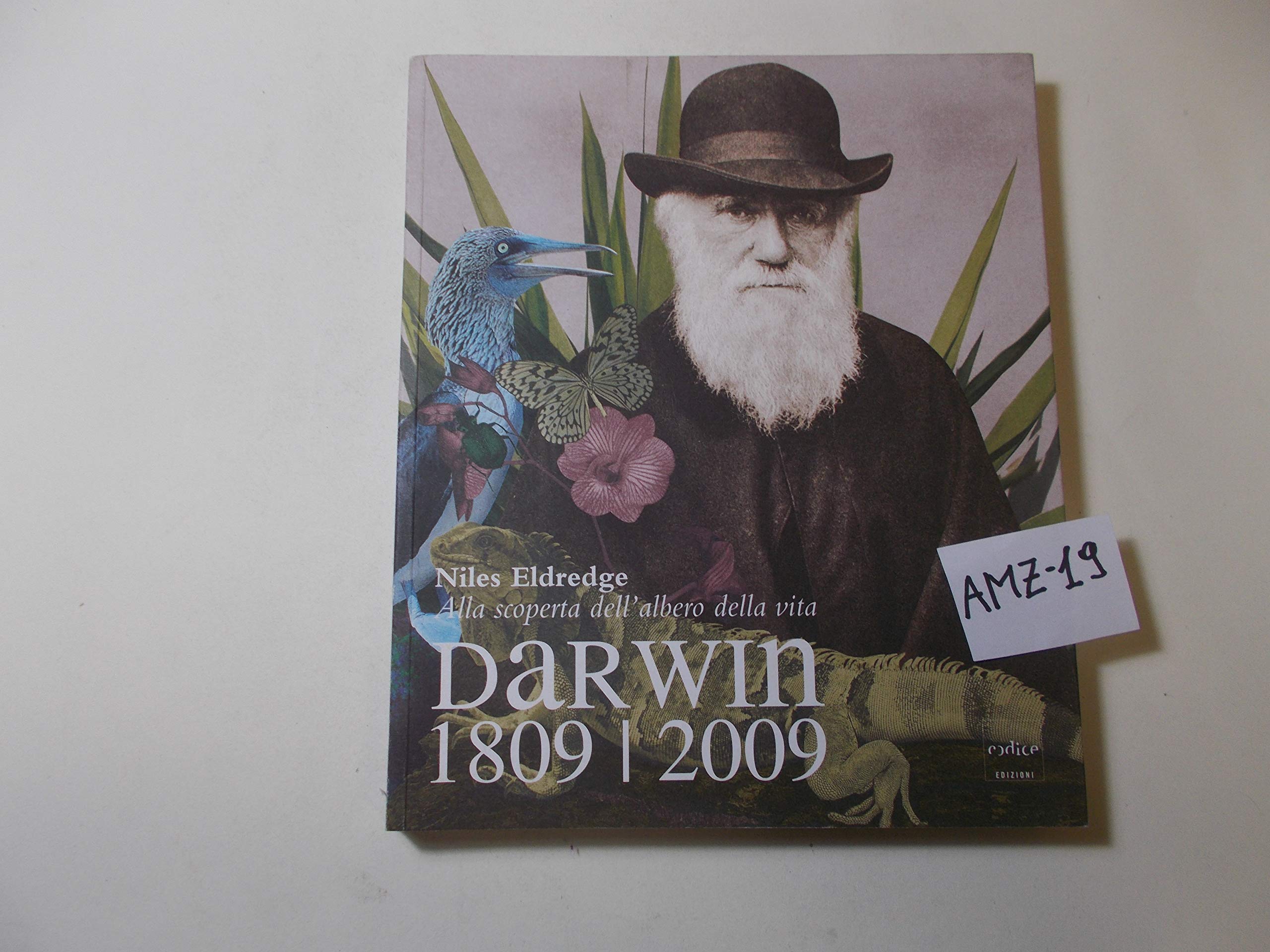 Darwin 1809-2009. Alla scoperta dell'albero della vita book