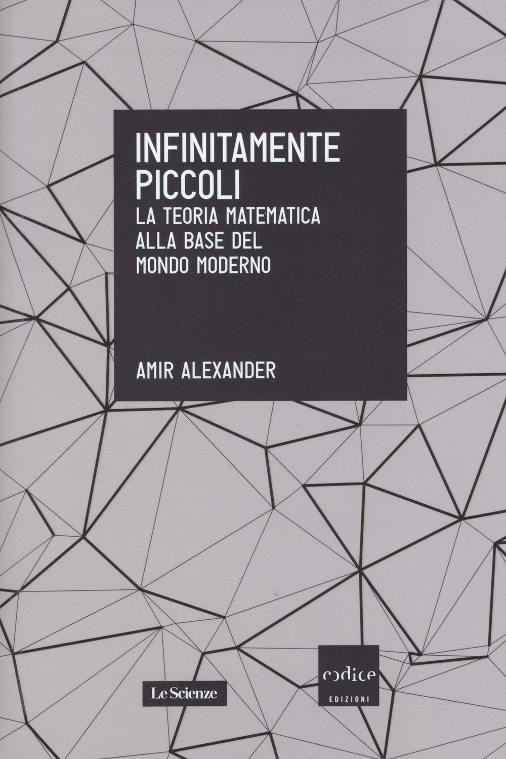 Infinitamente piccoli. La teoria matematica alla base del mondo moderno book