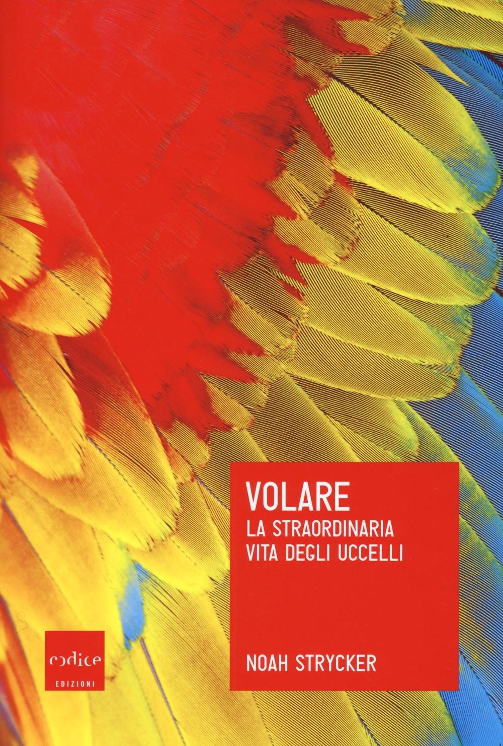 Volare. La straordinaria vita degli uccelli book