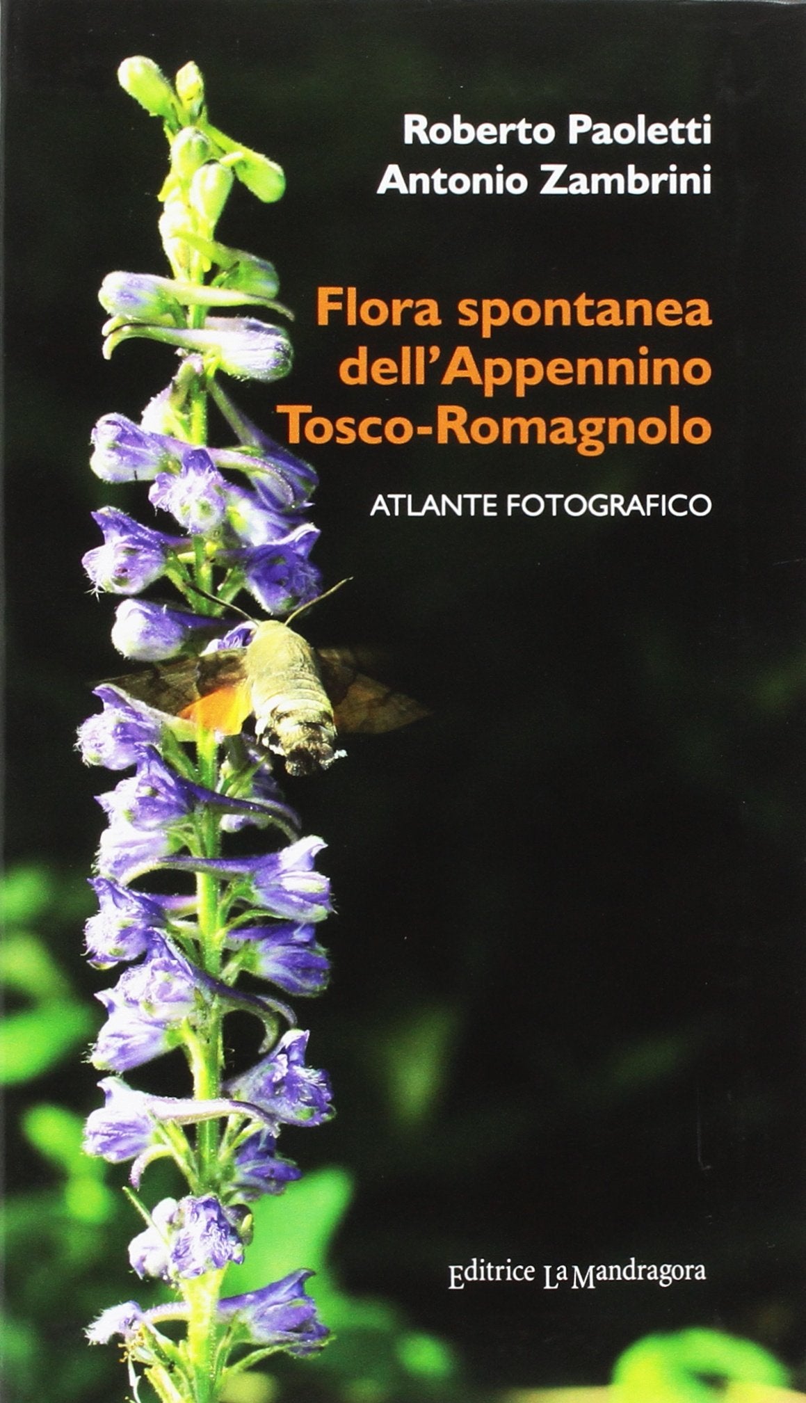 Flora spontanea dell'Appennino Tosco-Romagnolo. Ediz. illustrata book