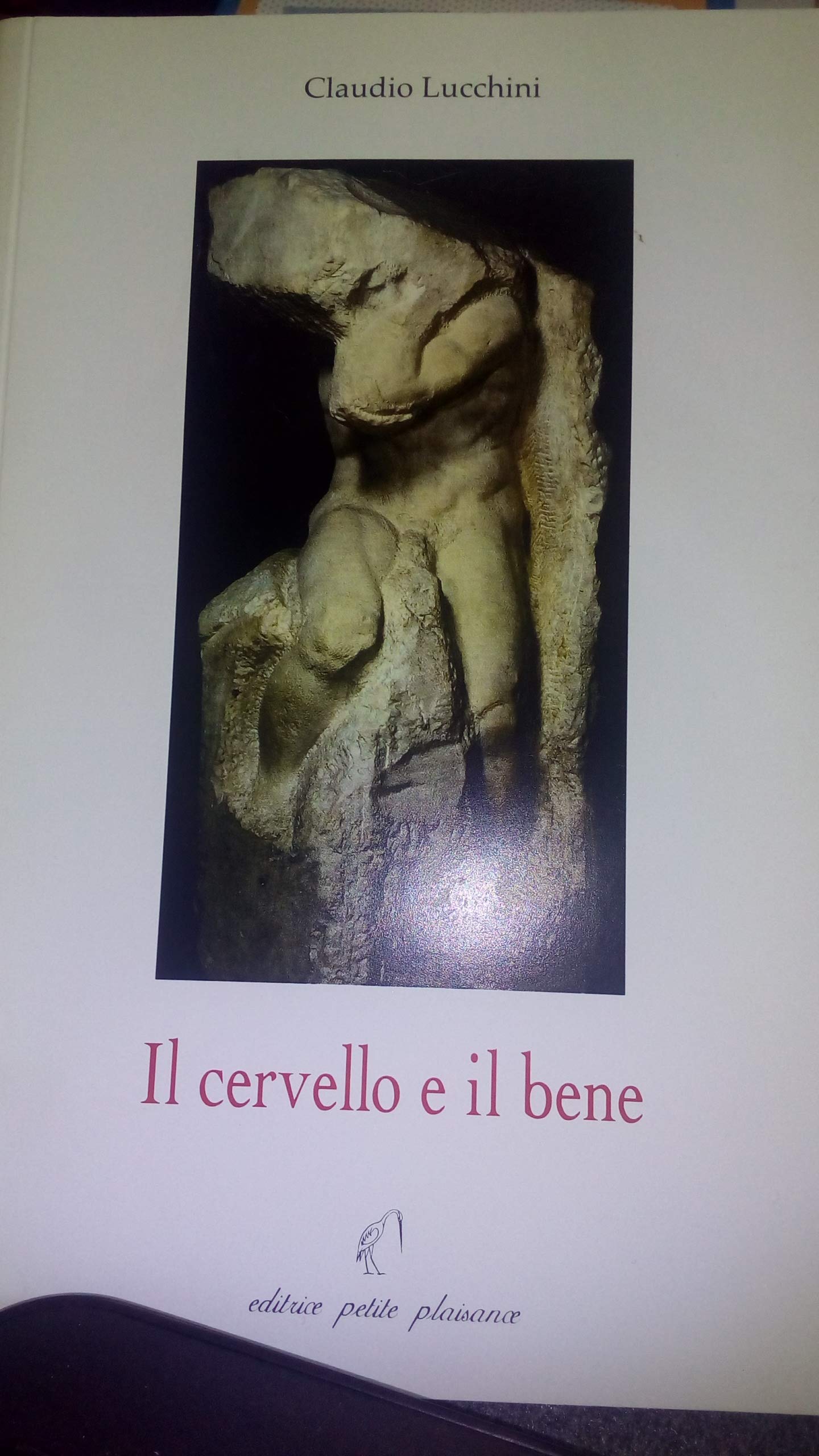 Il cervello e il bene. Considerazioni sulla possibilità di un universalismo radicalmente democratico book
