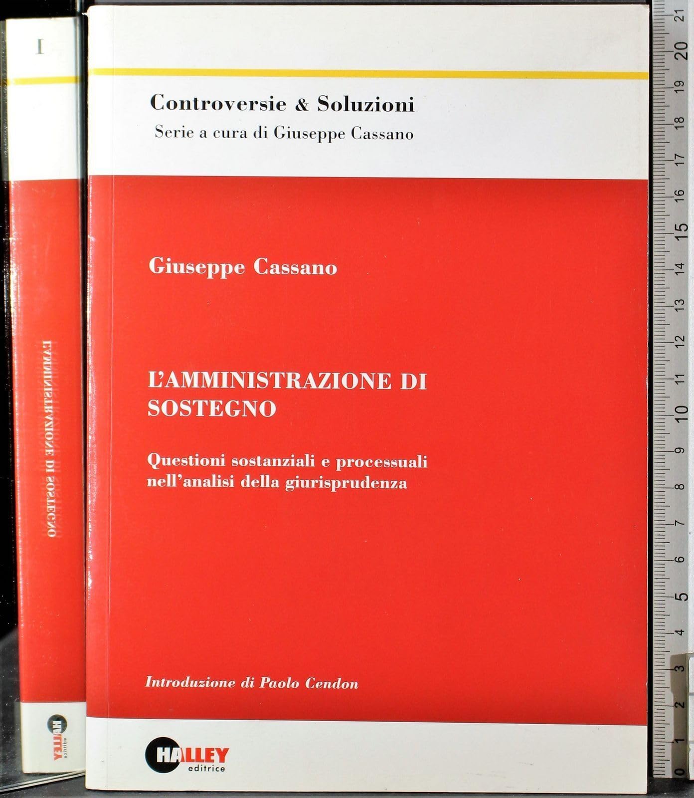 L'amministrazione di sostegno. Questioni sostanziali e processuali nell'analisi della giurisprudenza book