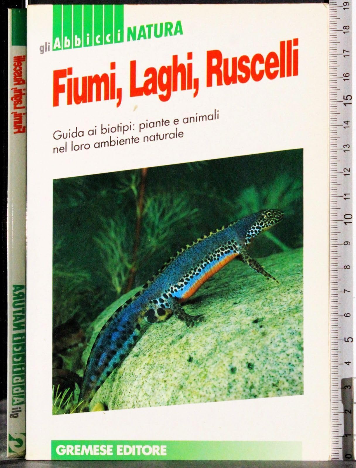 Fiumi, laghi e ruscelli (Gli abbiccì natura) Leisure, Home & Garden