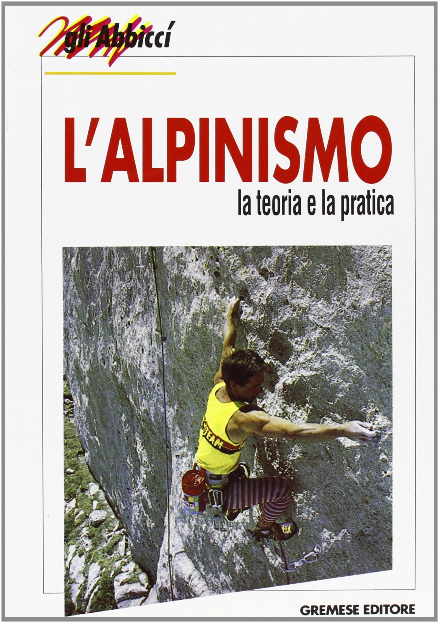 L'alpinismo. La teoria e la pratica book
