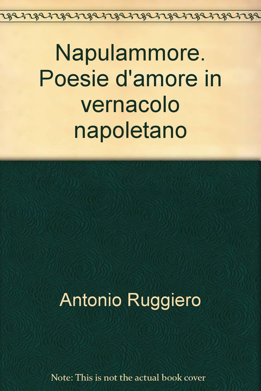 Napulammore. Poesie d'amore in vernacolo napoletano book