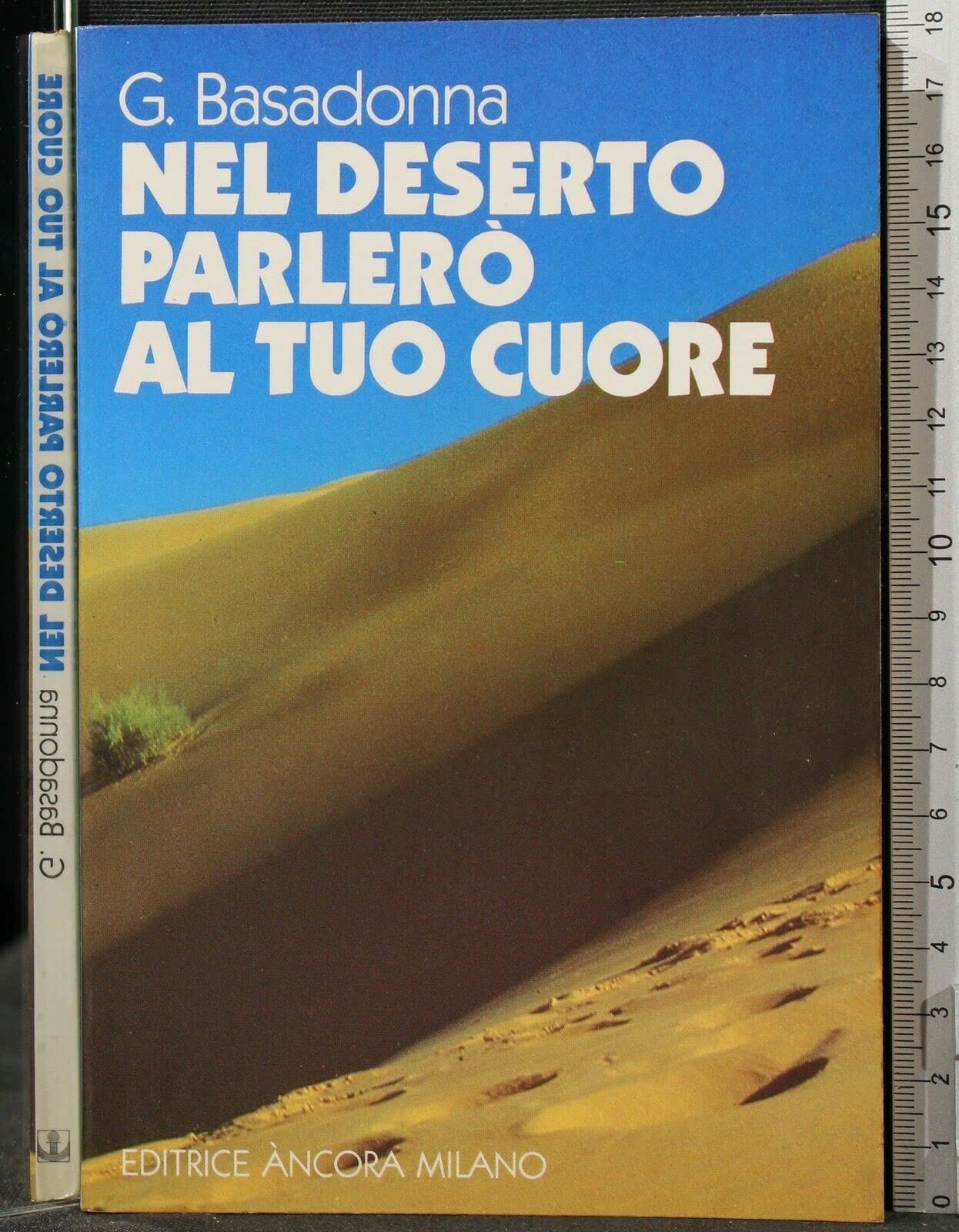 Nel deserto ti parlerò (Orientamenti dello scautismo) Religion & Esotericism