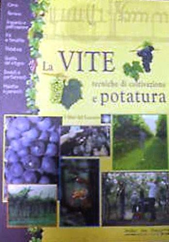 Vite. Tecniche di coltivazione e potatura (I libri del lunario) Books