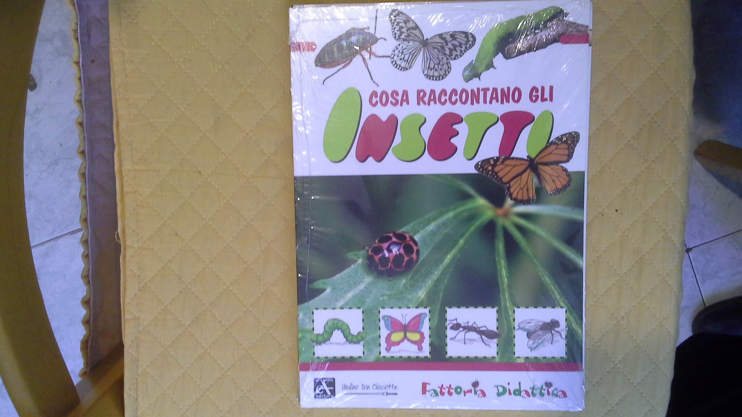 Cosa raccontano gli insetti. Ediz. illustrata book