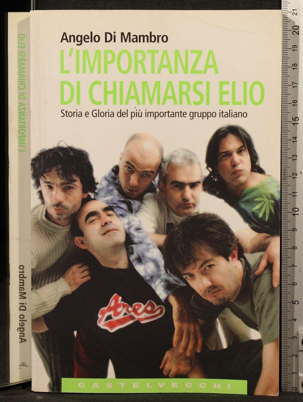 L'importanza di chiamarsi Elio. Storia e gloria del più importante gruppo italiano book