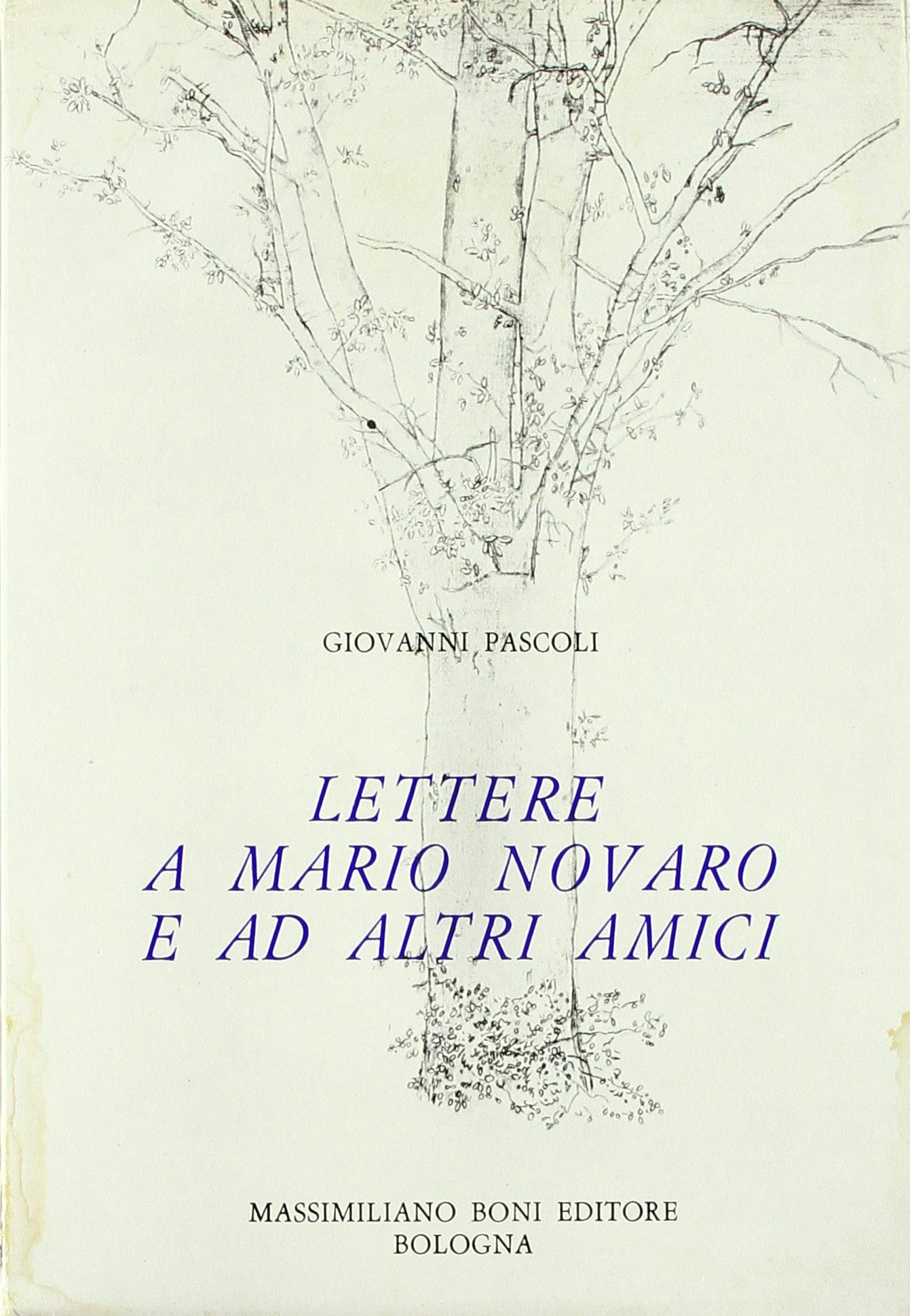 Lettere a Mario Novaro ed altri amici book