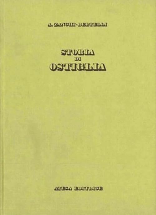 Storia di Ostiglia (rist. anast. Mantova, 1841) (Atesa. Testi scelti di storia locale in ristampa anastatica) Politics & History