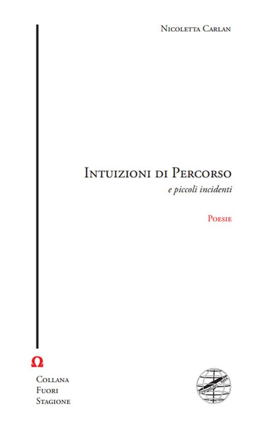 Intuizioni di percorso e piccoli incidenti. book