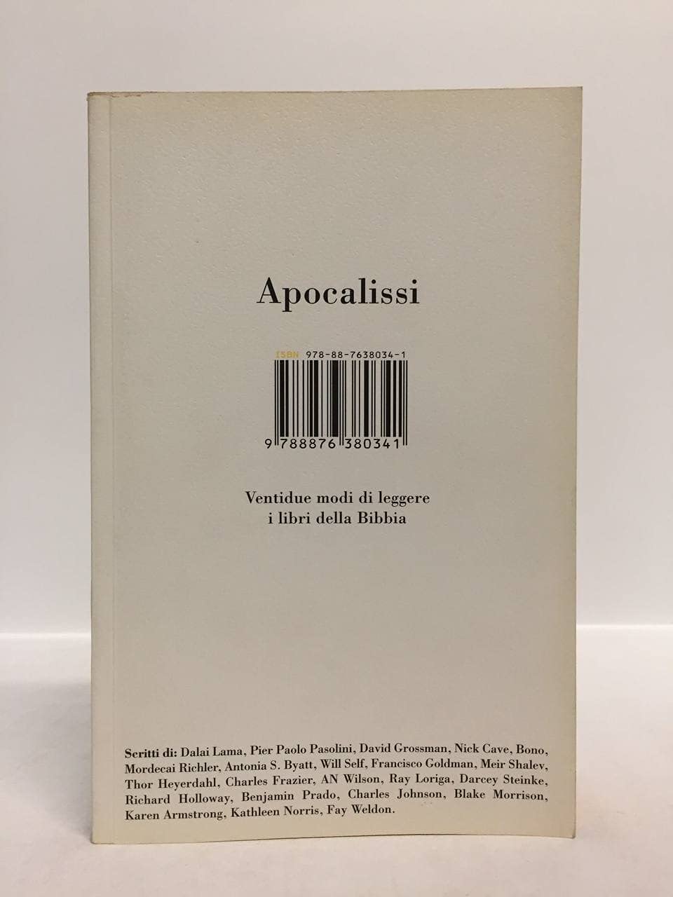 Apocalissi. Ventidue modi di leggere i libri della Bibbia book