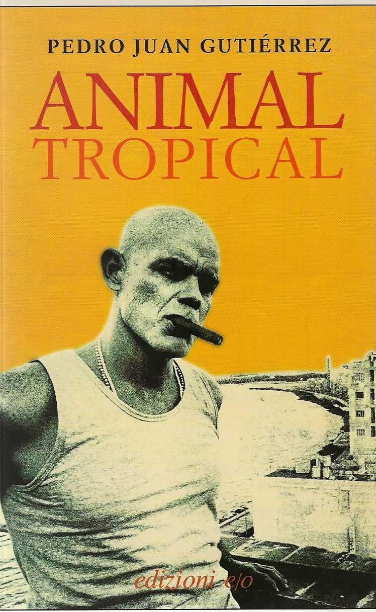Product Image: Animal tropical