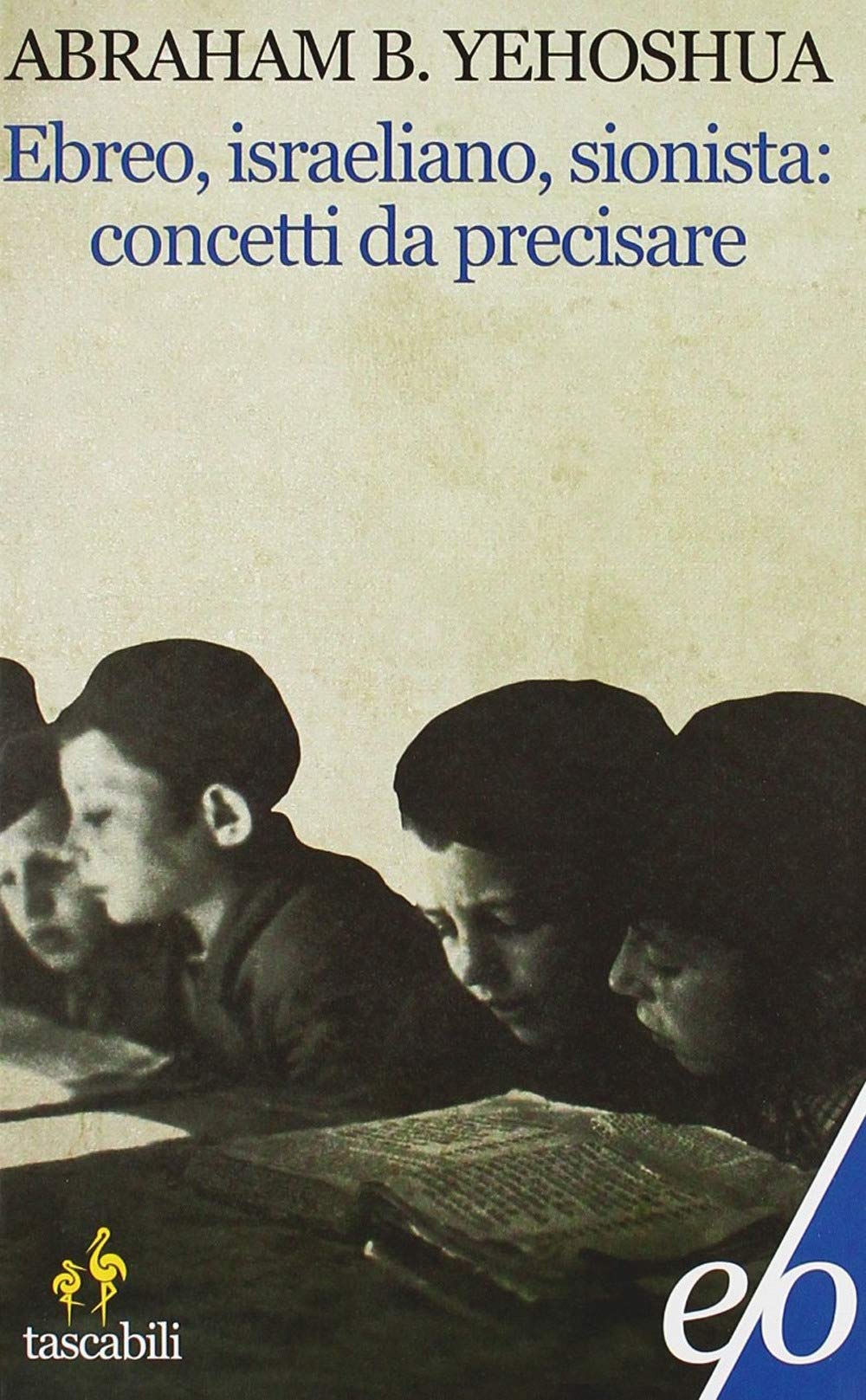 Ebreo, israeliano, sionista: concetti da precisare book