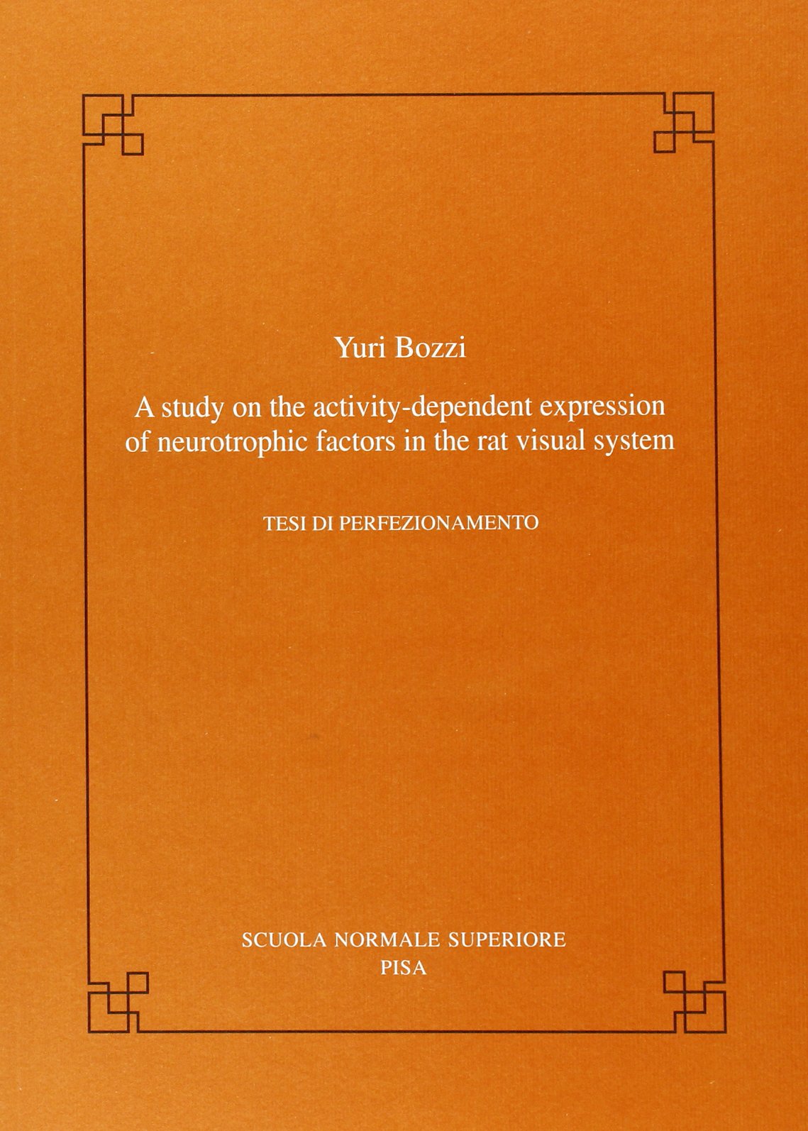 A study on the activity-dependent expression of neurotrophic factors in the rat visual system (Publications of the Scuola Normale Superiore) Natural Sciences