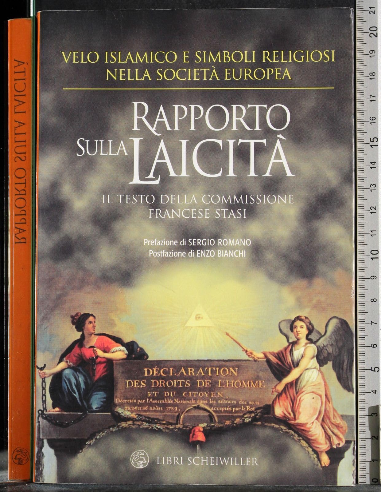 Rapporto sulla laicità. Velo islamico e simboli religiosi nella società europea (Contrasti) Religion & Esotericism
