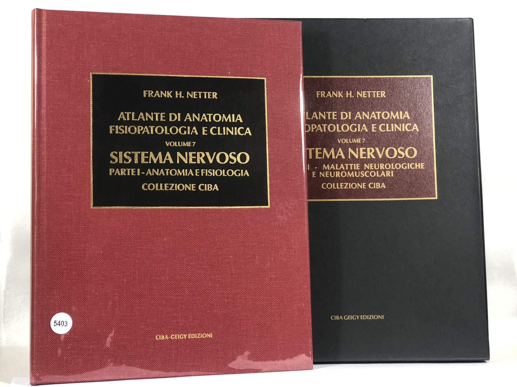 Sistema nervoso. Anatomia e fisiologia (Vol. 1) book
