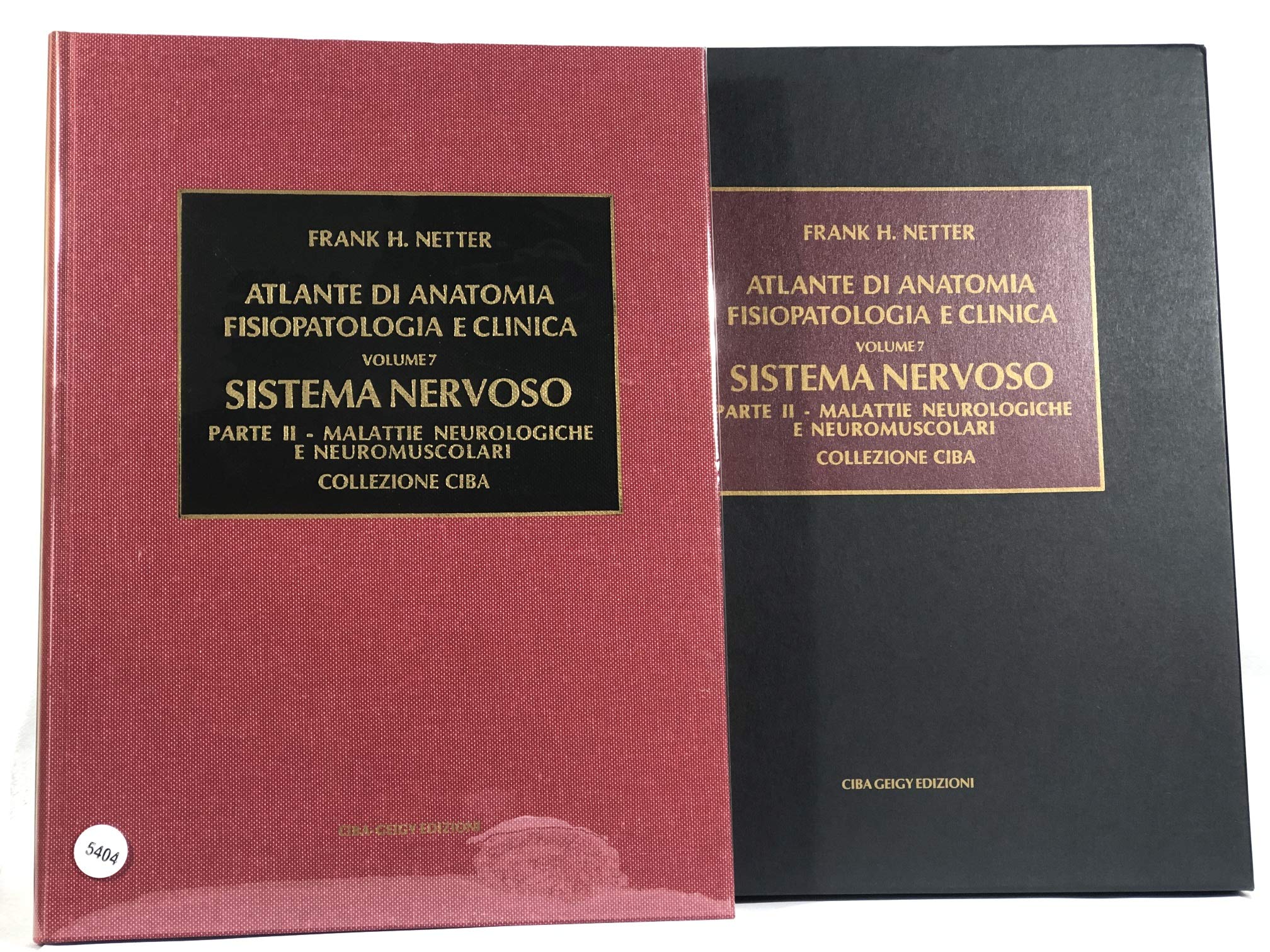 Sistema nervoso. Malattie neurologiche e neuromuscolari (Vol. 2) book