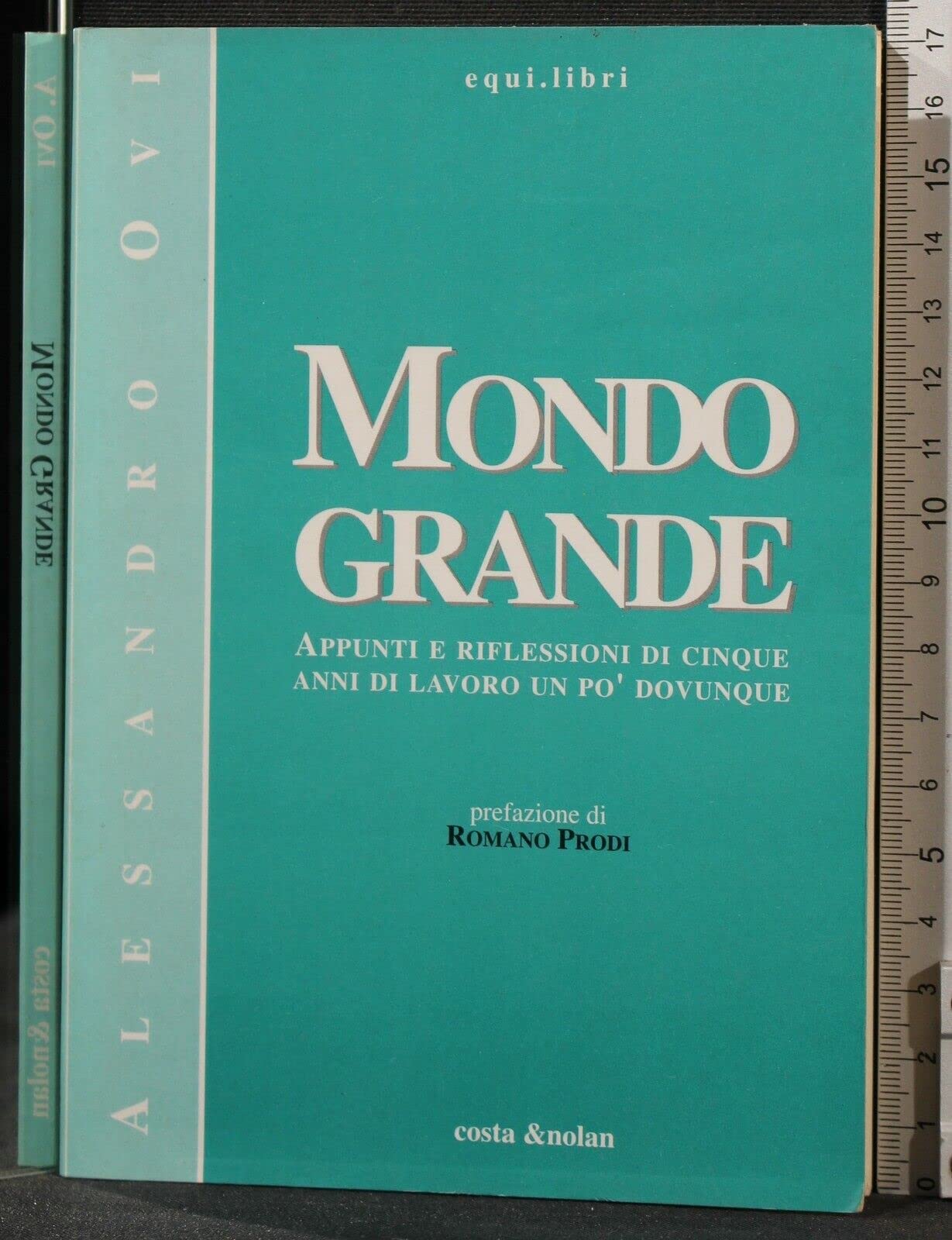 Mondo grande. Appunti e riflessioni di cinque anni di lavoro un po' dovunque book