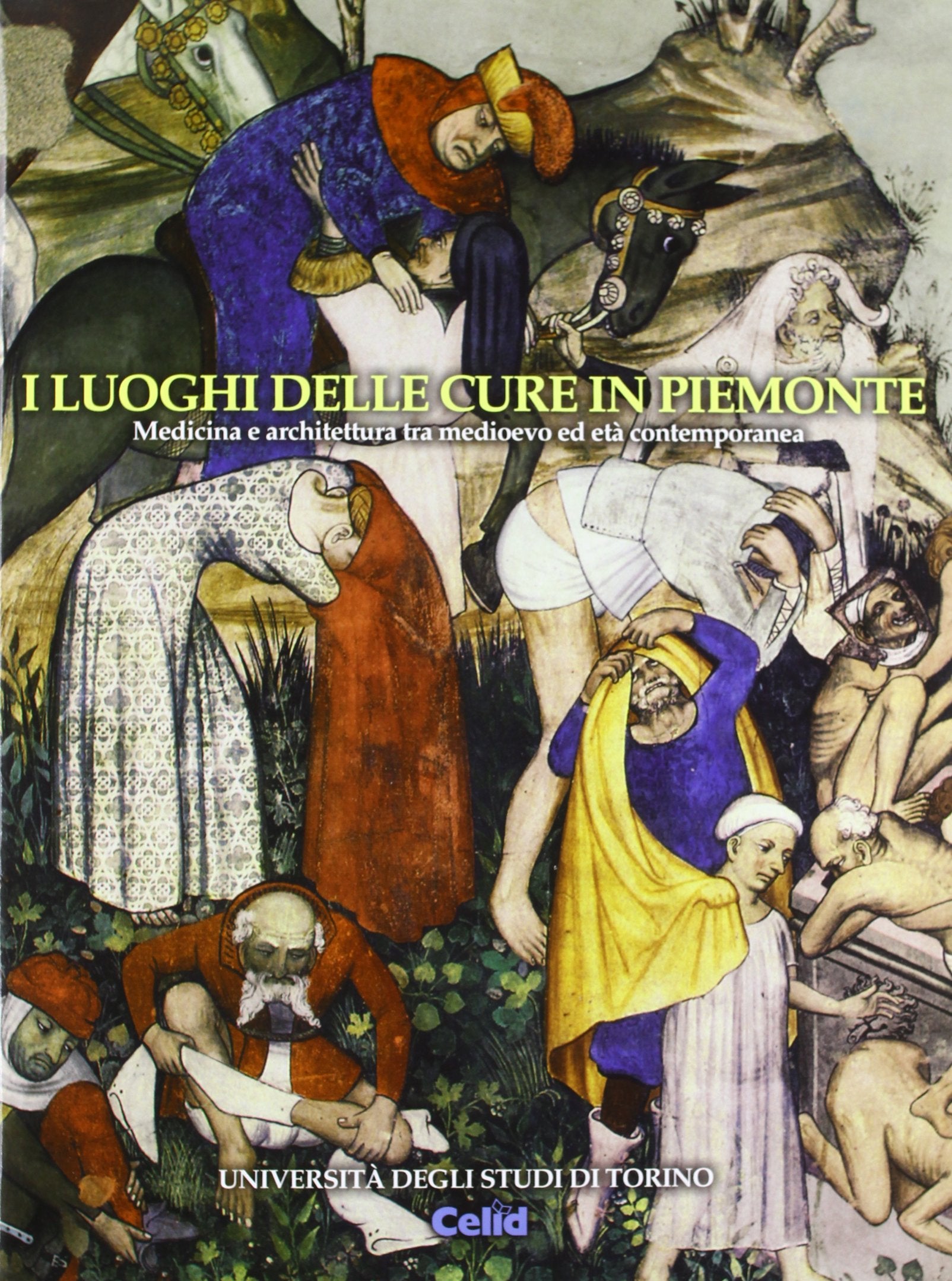I luoghi delle cure in Piemonte. Medicina e architettura tra Medioevo ed età contemporanea book