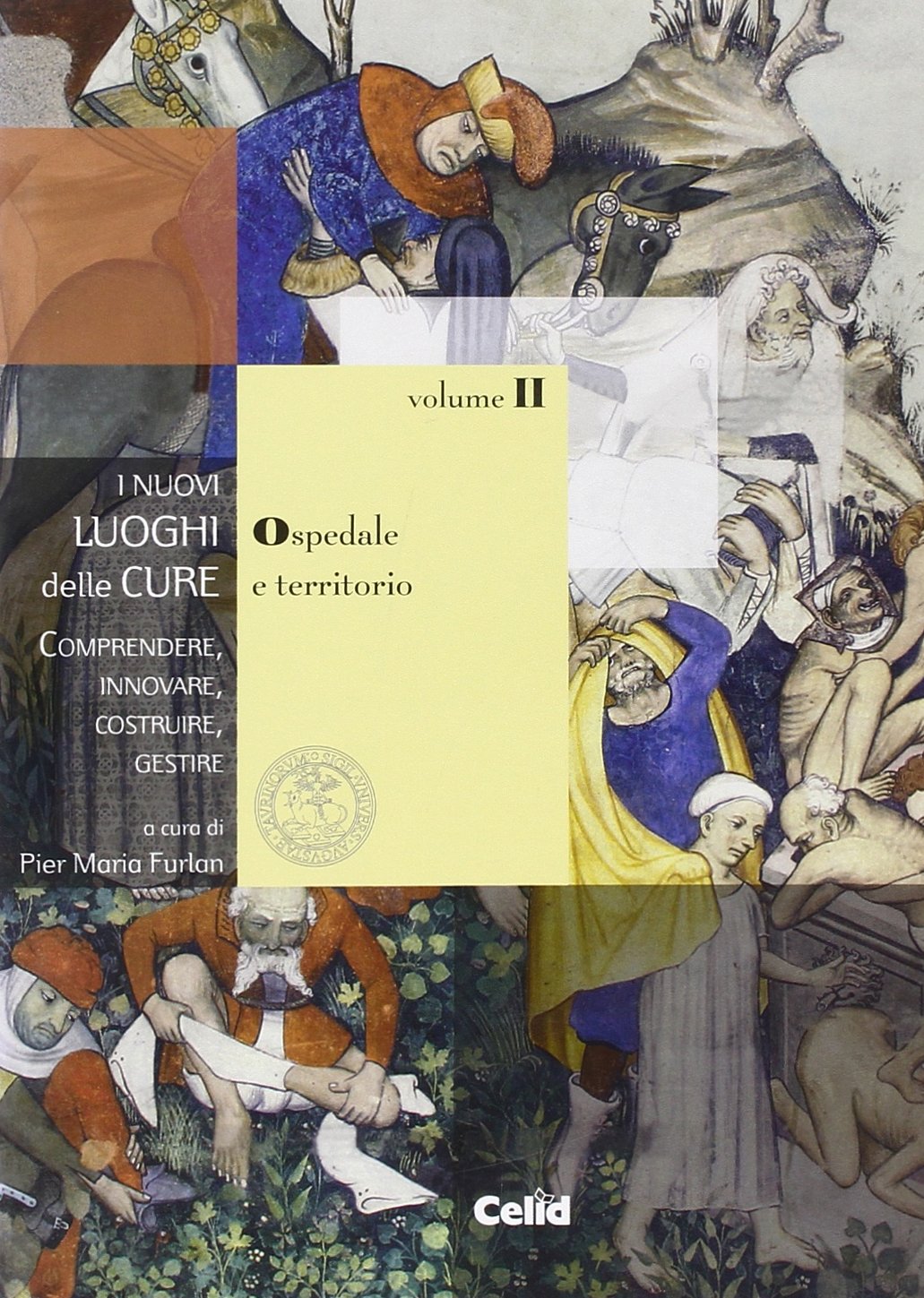 I nuovi luoghi delle cure. Comprendere, innovare, costruire, gestire. Ospedale e territorio (Vol. 2) Medicine