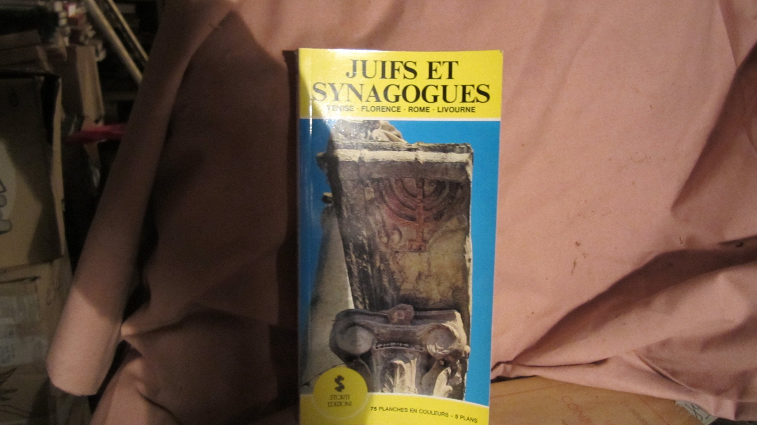 Juifs et synagogues. Venezia, Firenze, Roma, Livorno book