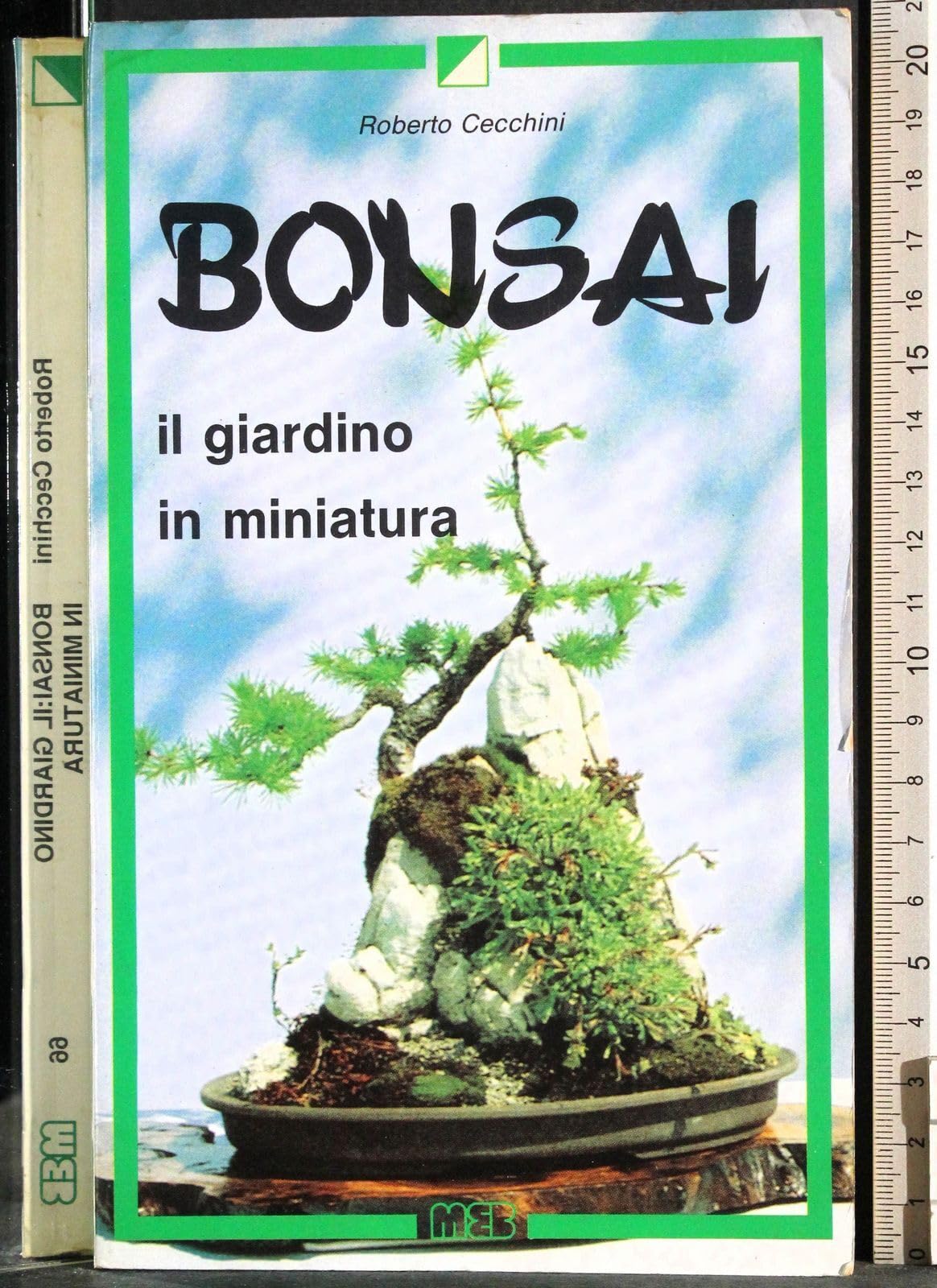 Bonsai. Giardino in miniatura book