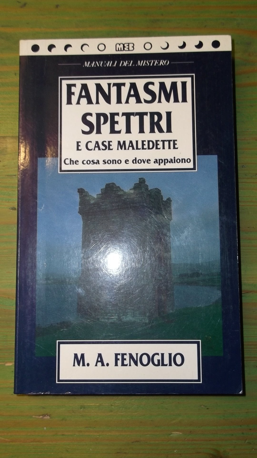 Fantasmi, spettri e case maledette. Che cosa sono e dove appaiono (Manuali economici) Religion & Esotericism