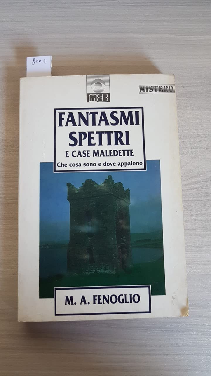 Fantasmi, spettri e case maledette. Che cosa sono e dove appaiono book