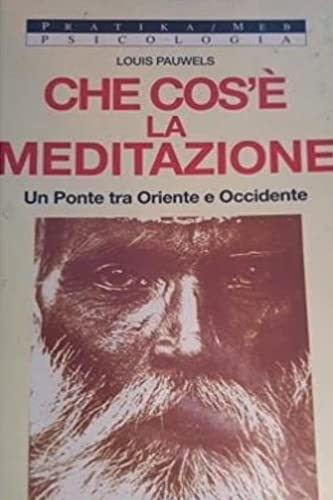 Che cos'è la meditazione. Un ponte tra Oriente e Occidente book