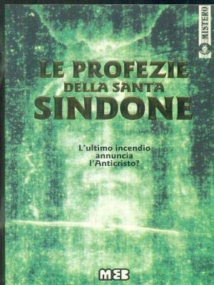 Le profezie della santa Sindona. L'ultimo incendio annuncia l'Anticristo? book