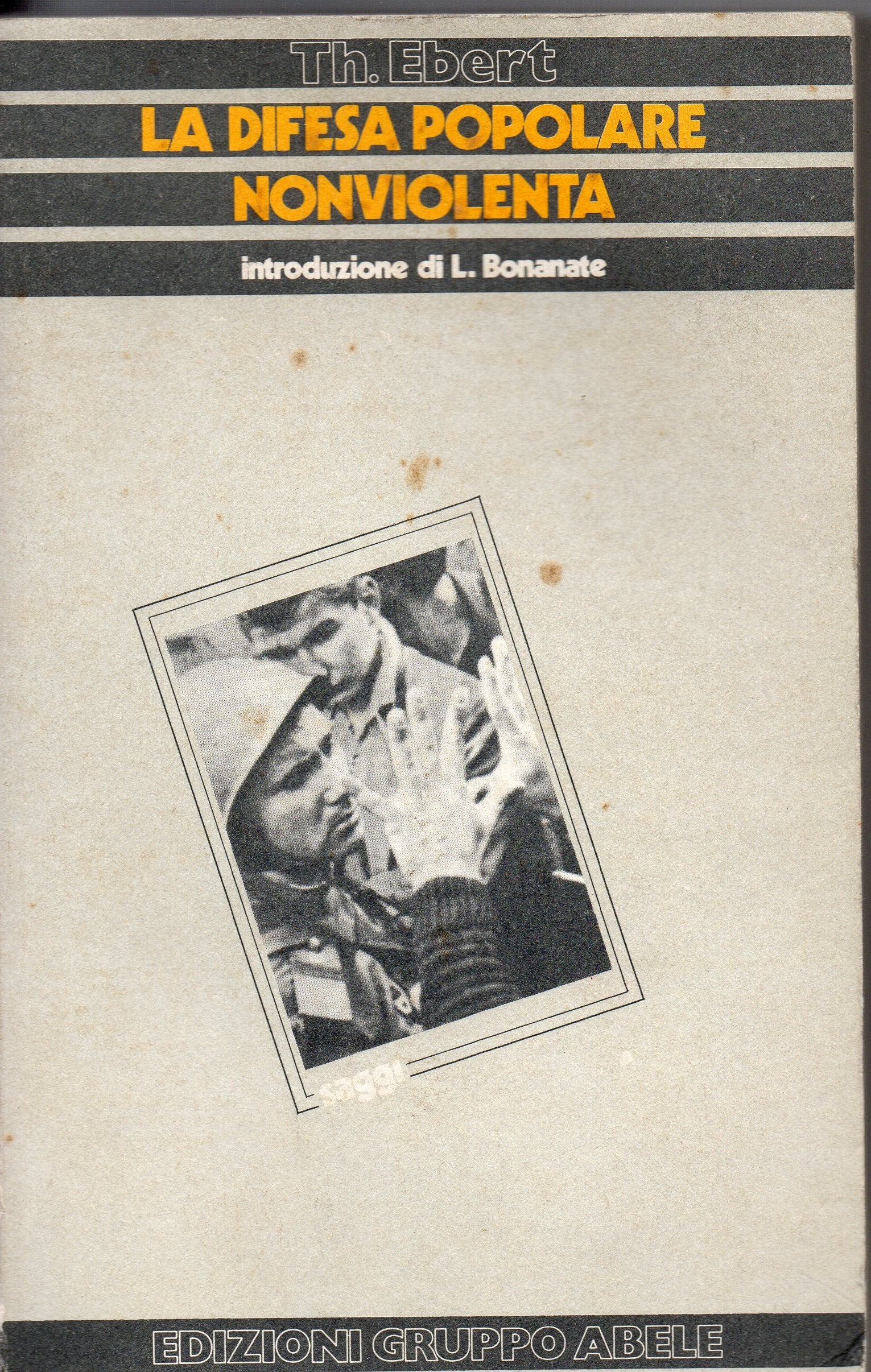 La difesa popolare nonviolenta. Un'alternativa democratica alla difesa militare Books