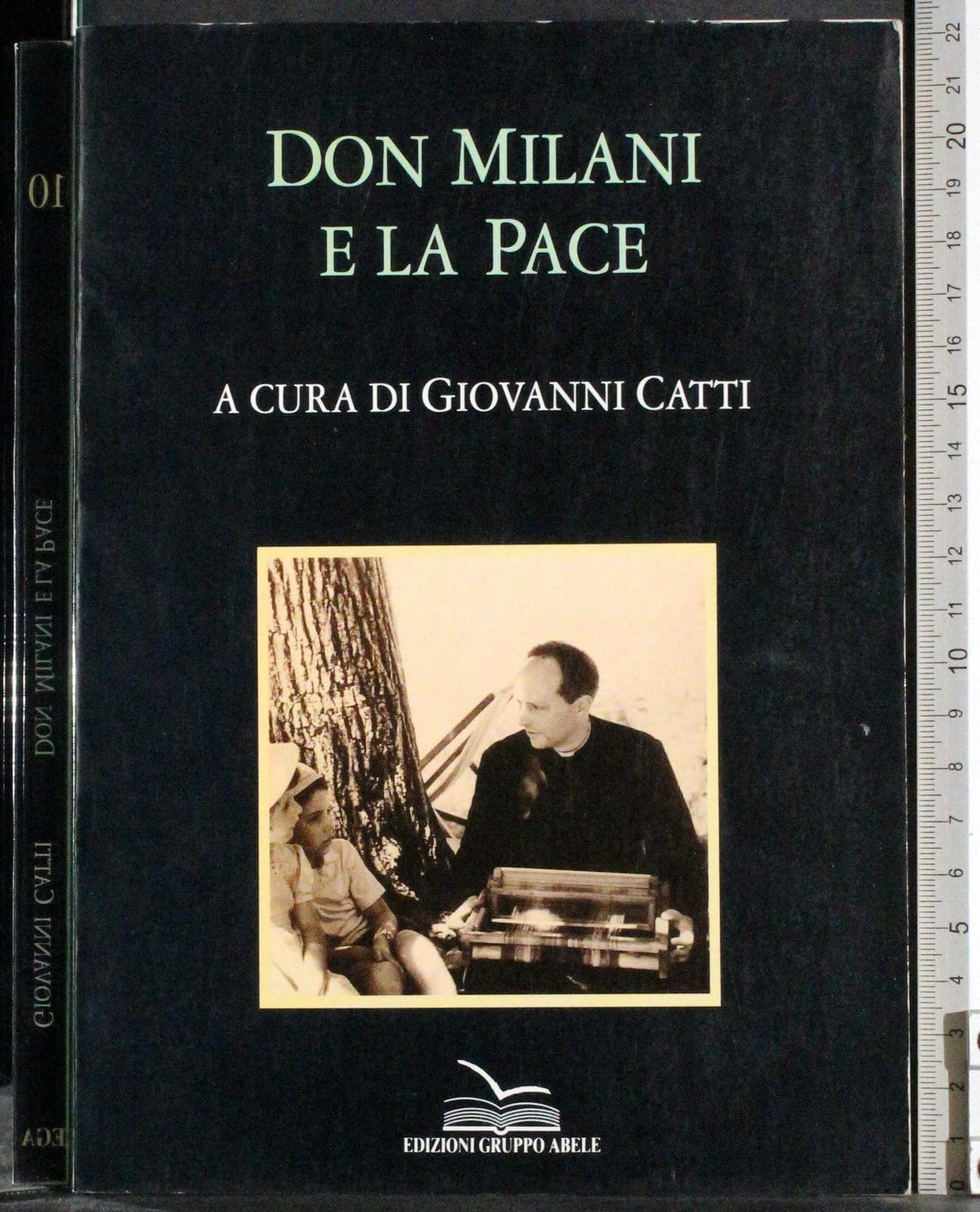 Don Milani e la pace (Altri saggi) Reference Books