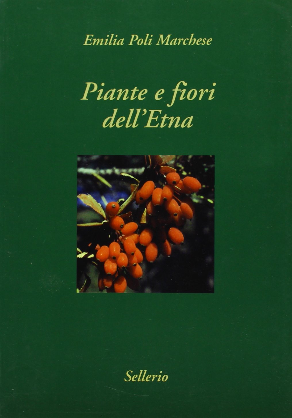 Piante e fiori dell'Etna (Bel vedere) Leisure, Home & Garden