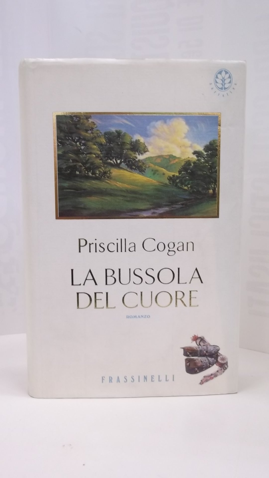 La bussola del cuore (Frassinelli narrativa straniera) Contemporary literature